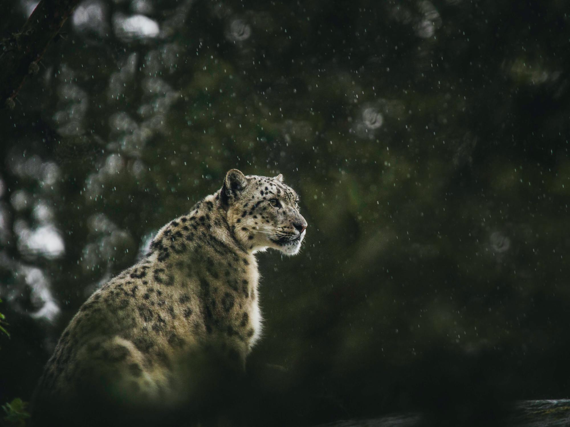 Photo by Frida Bredesen on Unsplash